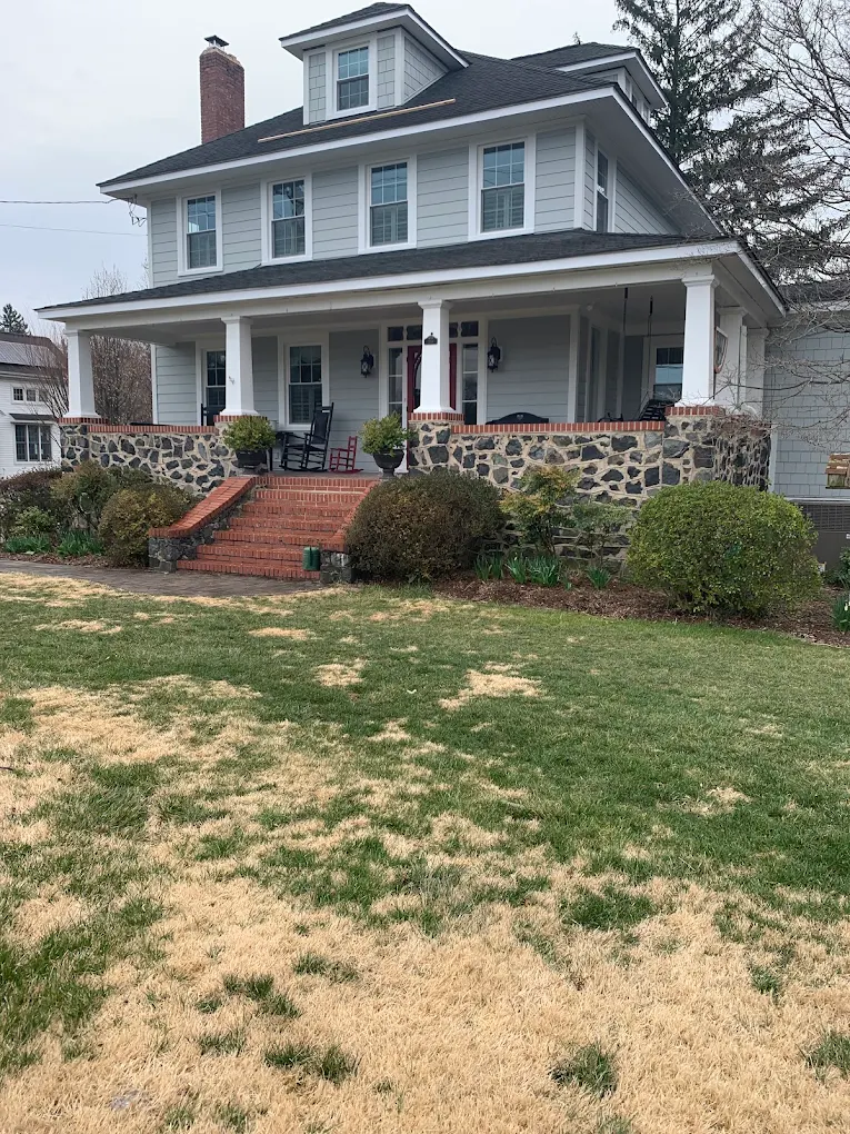 Baltimore home upgraded with new replacement windows and a modern entry door.