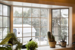 Looking through the bay window toward the back yard