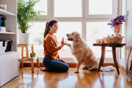 woman and dog sitting in front of window doing tricks