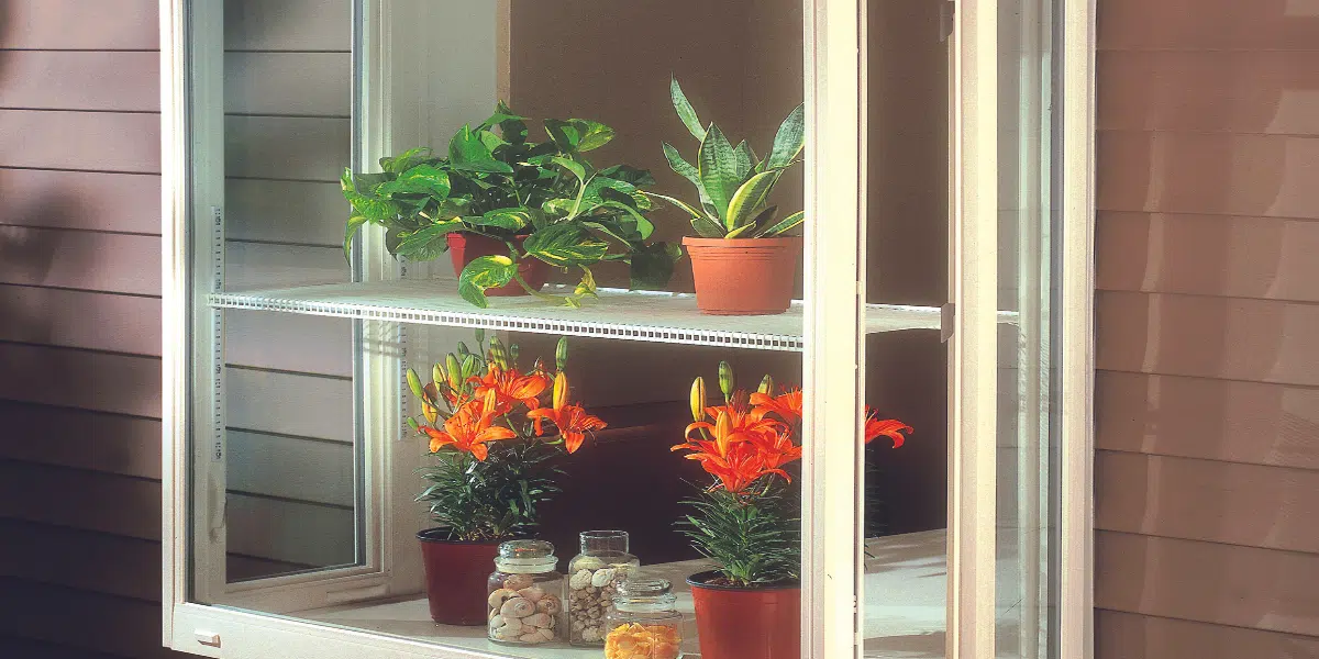 plants showcased in garden window