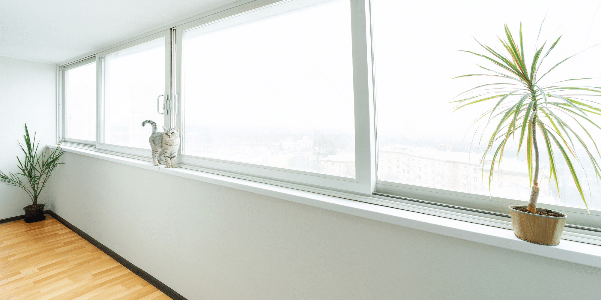 Office with Slider windows