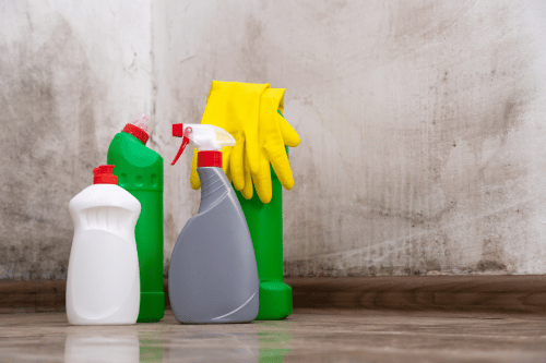cleaning supplies in front of a wall with black mold