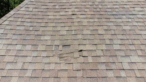 roof with water damage